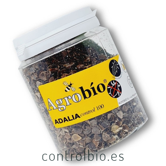ADALIAcontrol 100 larvas Adalia bipunctata contra pulgón