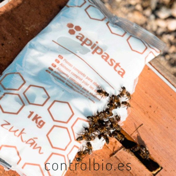APIPASTA 15 Kg preparado azucarado para abejorros