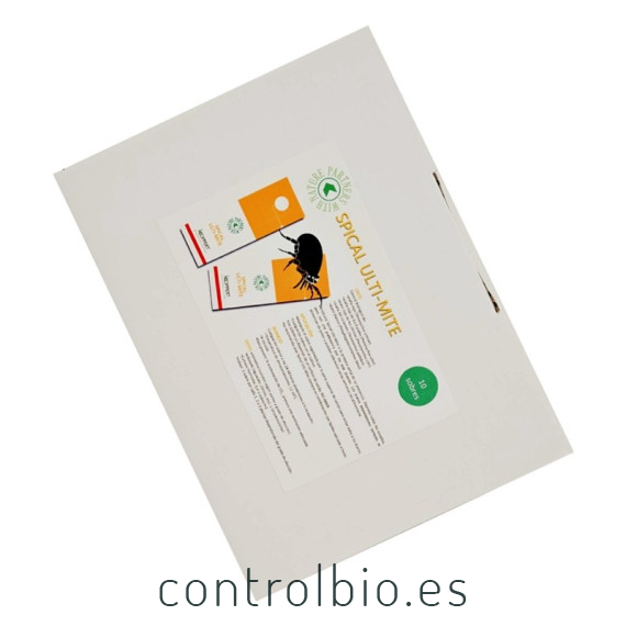 Spical plus 10 sobres Californicus koppert