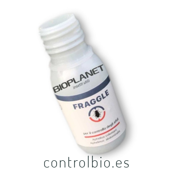 FRAGGLE 750 mix de parasitoides de pulgón