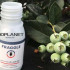 FRAGGLE 750 mix de parasitoides de pulgón