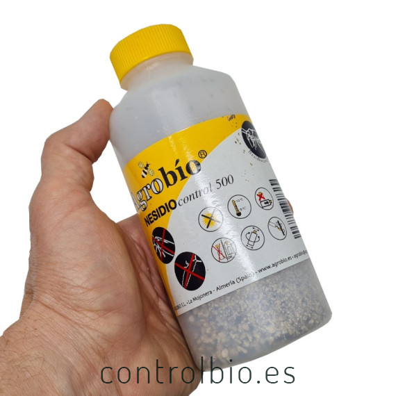 Nesidiocontrol 500 nesidiocoris contra tuta