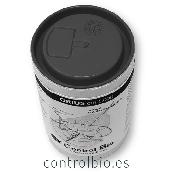 ORIUS CBi 1000 Orius laevigatus depredador de trips