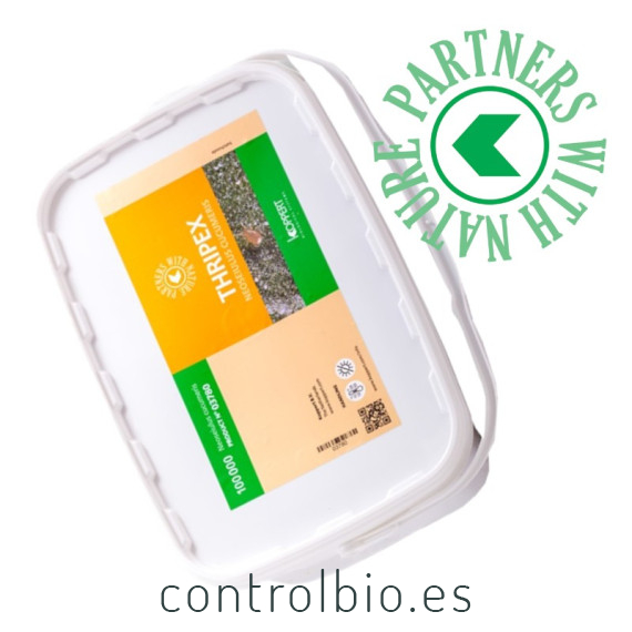 THRIPEX 100.000 Amblyseius cucumeris acaros depredadores