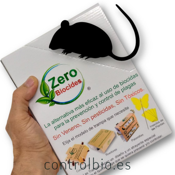 Ratón pack de 2 trampas + 1 de regalo