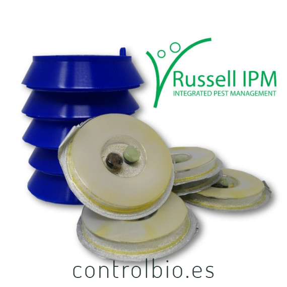 Trampa X-lure rusell IPM