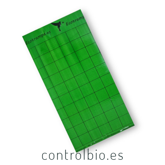 PLACA VERDE 15 x 30 cm individual
