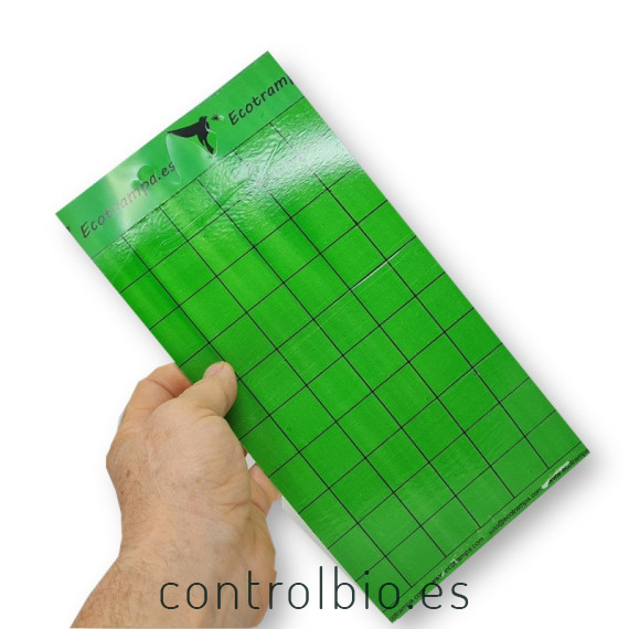 PLACA VERDE 15 x 30 cm individual