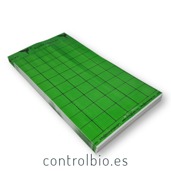 PLACA VERDE 15 x 30 cm individual