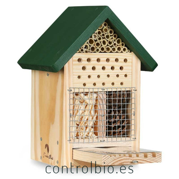 Hotel para insectos con observatorio