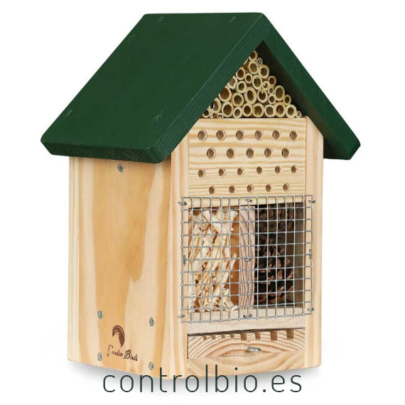 Hotel para insectos con observatorio
