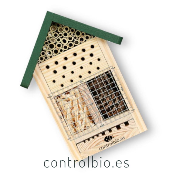 Hotel para insectos con observatorio