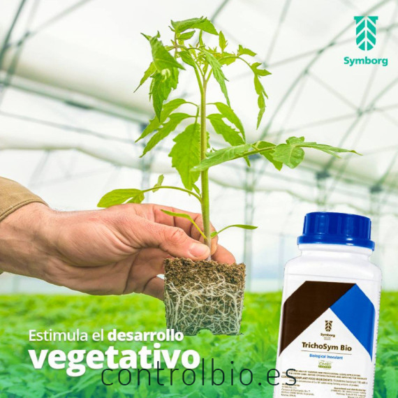 TRICHOSYM BIO inoculante biológico con Trichoderma harzianum