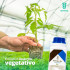 TRICHOSYM BIO inoculante biológico con Trichoderma harzianum