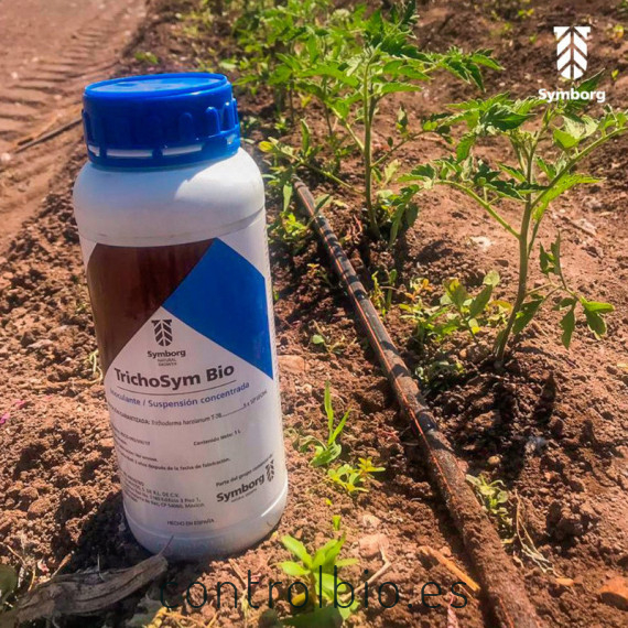 TRICHOSYM BIO inoculante biológico con Trichoderma harzianum