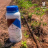 TRICHOSYM BIO inoculante biológico con Trichoderma harzianum