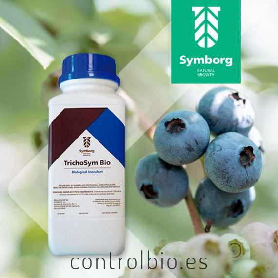 TRICHOSYM BIO inoculante biológico con Trichoderma harzianum