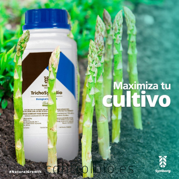 TRICHOSYM BIO inoculante biológico con Trichoderma harzianum