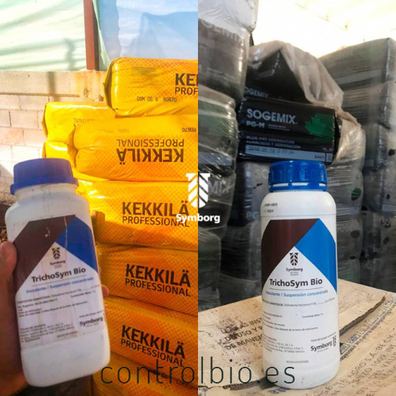 TRICHOSYM BIO inoculante biológico con Trichoderma harzianum