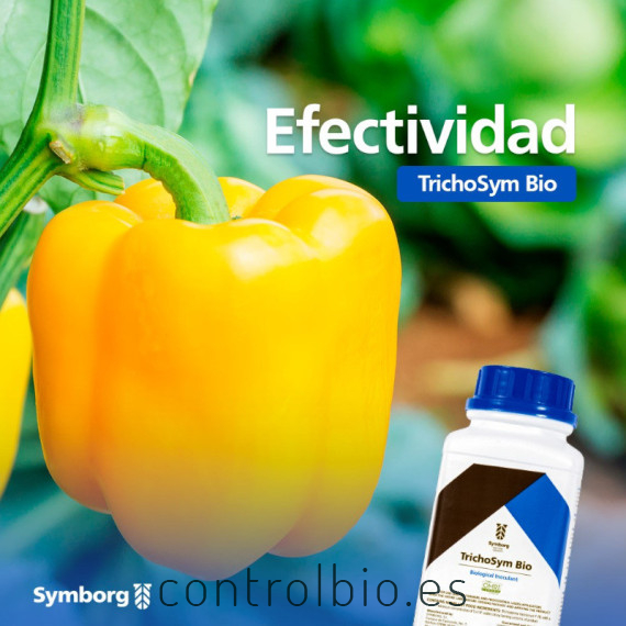 TRICHOSYM BIO inoculante biológico con Trichoderma harzianum