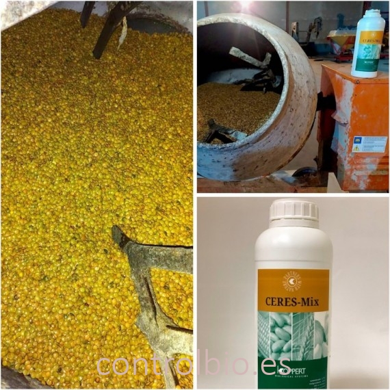 CERES-MIX WHEAT 1 L de Koppert bioprotector de semillas para cereales