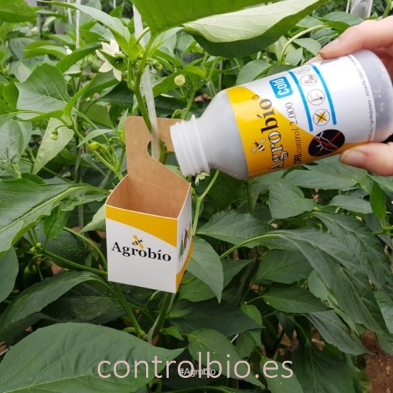 ORIcontrol 2000 COLD anti trips a bajas temperaturas