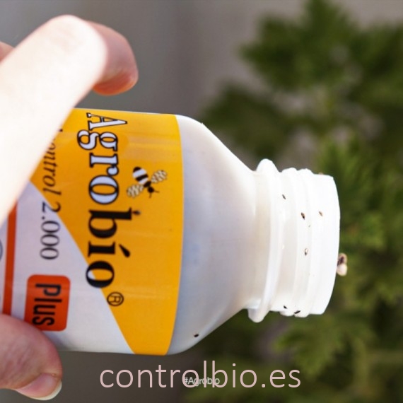 ORIcontrol 2000 PLUS el más resistente