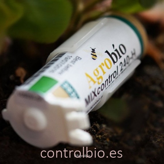 MIX 240-H VERDAPROTECT mezcla de parasitoides de pulgón