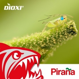 PIRAÑA 1L bioprotector sistémico ante pulgones