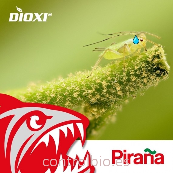 PIRAÑA 1L bioprotector sistémico ante pulgones