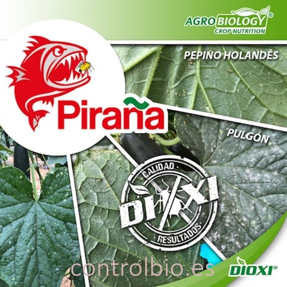 PIRAÑA 1L bioprotector sistémico ante pulgones