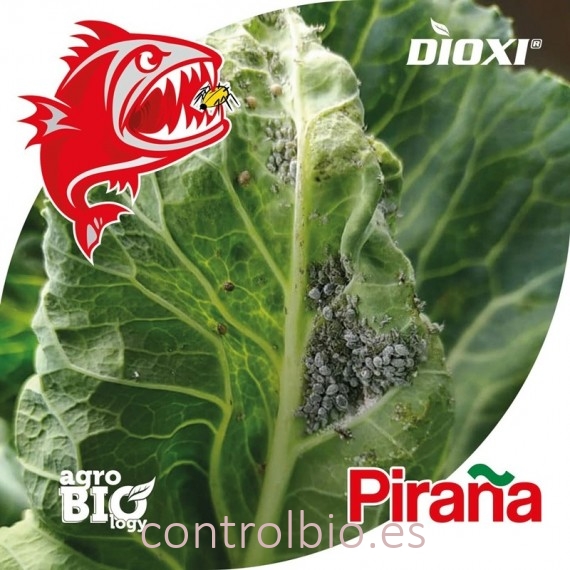 PIRAÑA 1L bioprotector sistémico ante pulgones