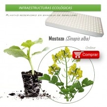 copy of ENELDO Planta auxiliar para invernadero
