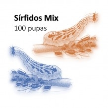 SÍRFIDOS Mix