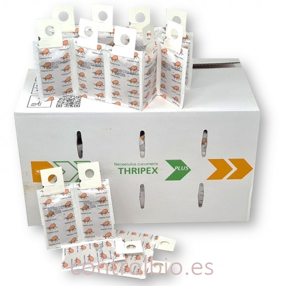 THRIPEX PLUS 500 sobres individuales Amblyseius cucumeris