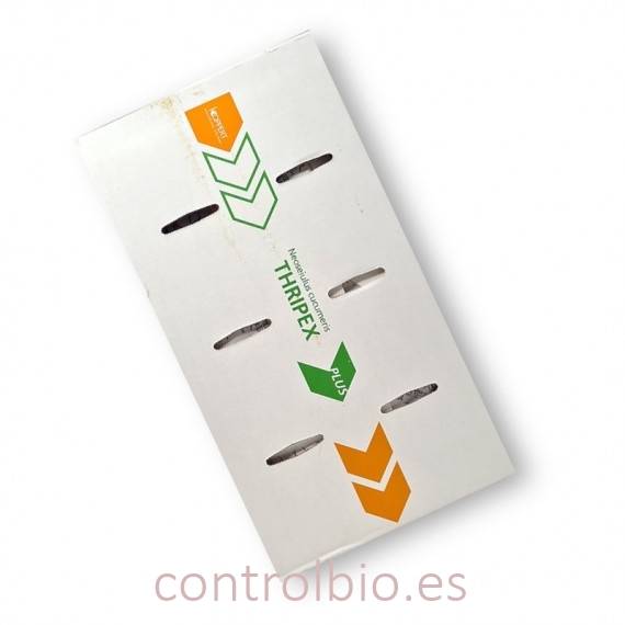 THRIPEX PLUS 500 sobres individuales Amblyseius cucumeris