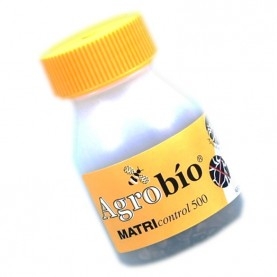 MATRIcontrol 2.000 Aphidius matricariae parasitoide de pulgones