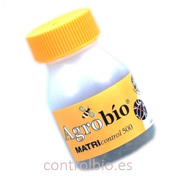 MATRIcontrol 2.000 Aphidius matricariae parasitoide de pulgones