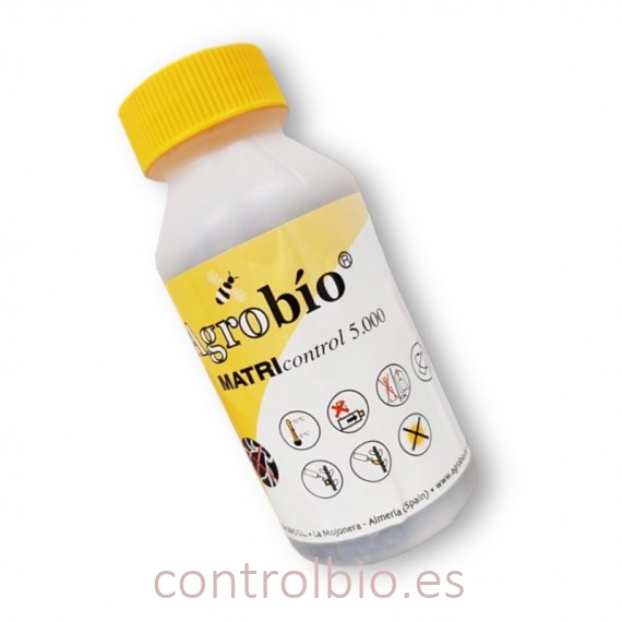 MATRIcontrol 5.000 Aphidius matricariae parasitoide de pulgones