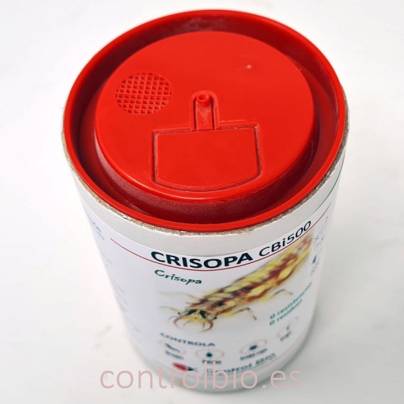 CRISOPA CBi 500 larvas depredadoras de pulgón