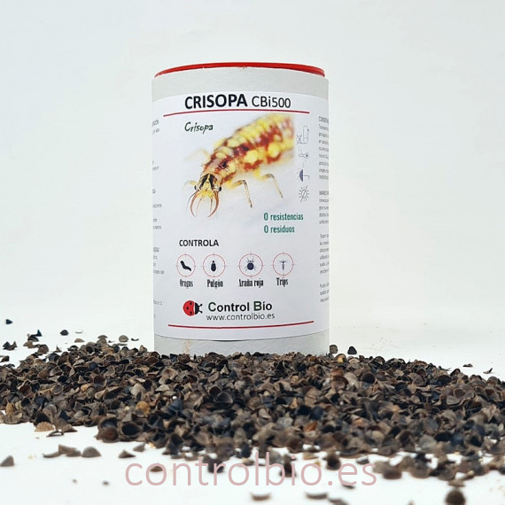 CRISOPA CBi 500 larvas depredadoras de pulgón