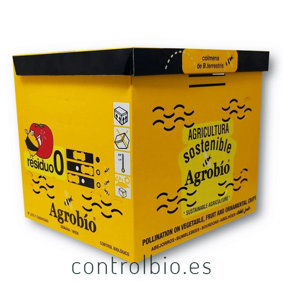 colmena de verano agrobio