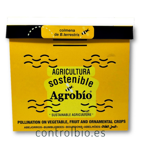 colmena de abejorros agrobio