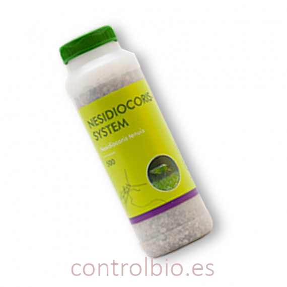 NESIDIOCORIS SYSTEM 500 DEPREDADOR DE TUTA