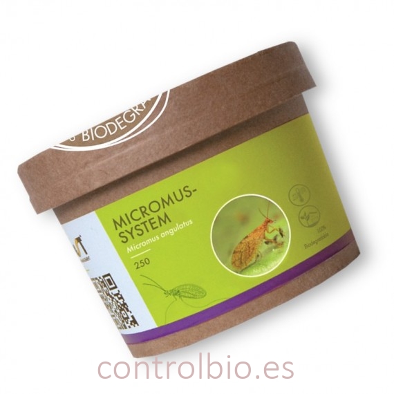 MiCROMUS SYSTEM 250 Crisopa parda contra pulgones