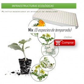 MIX CONSERVATIVO, biodiversidad de plantas insectarias x 104 ud.