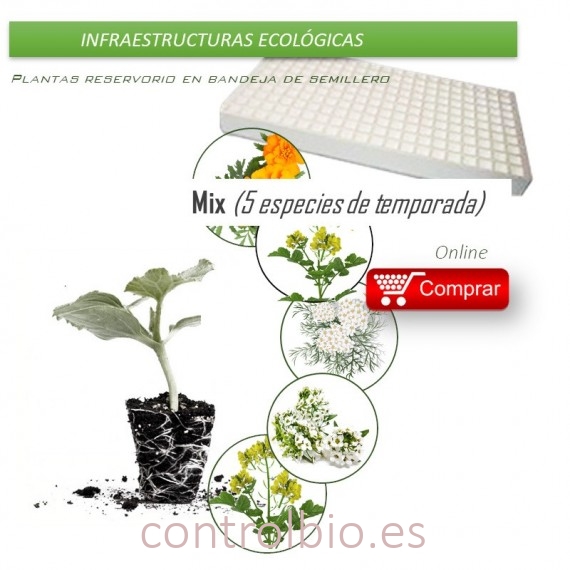 MIX CONSERVATIVO, biodiversidad de plantas insectarias x 104 ud.