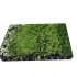 MIX CONSERVATIVO, biodiversidad de plantas insectarias x 104 ud.
