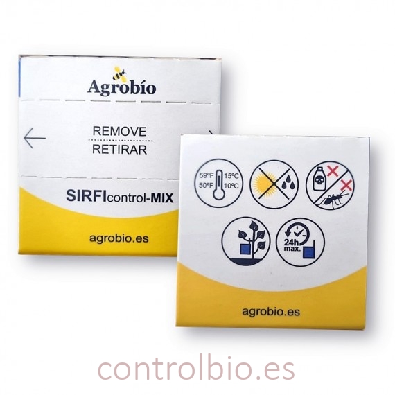 SÍRFIDOS MIX balteatus / Ruepelli x 100 pupas