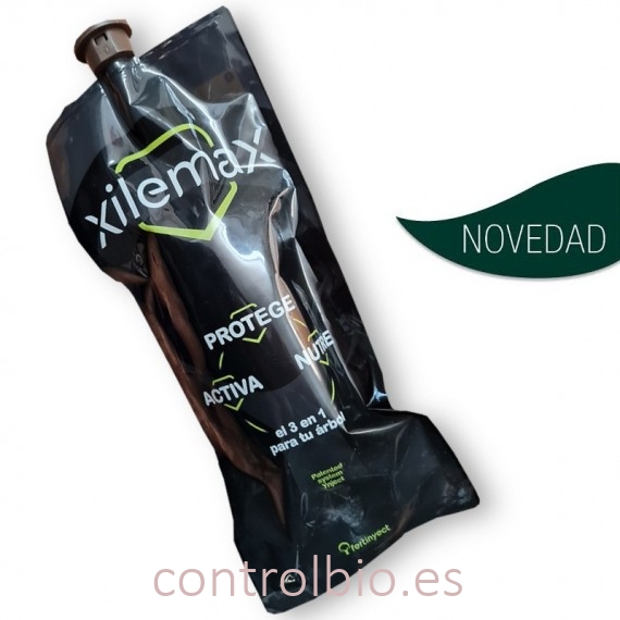 XILEMAX endoterapia contra enfermedades